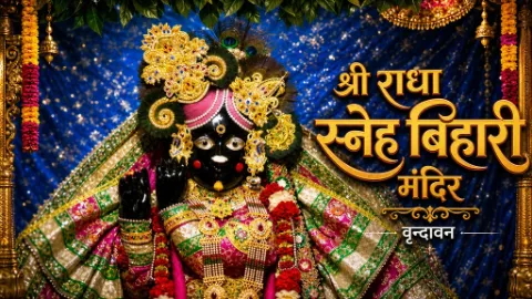 Shri Radha Sneh Bihari Mandir & Gopashtami Mahotsav — Gopashtami 2026 in Vrindavan & Braj Dham: The Day Krishna Became a Cowherd, Rare Charan Darshan, Gau-Puja Vidhi & Goshala Guide