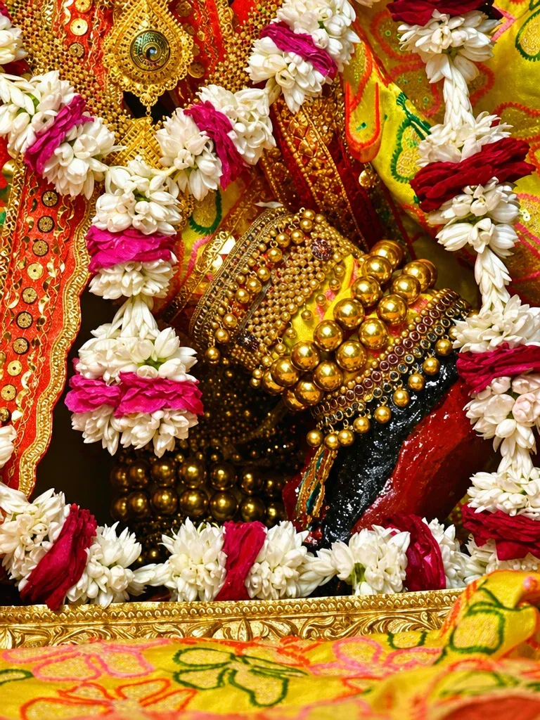 Shri Radha Vallabh Mandir, Vrindavan Vrindavan Braj Dham — Darshan View 5 (Shri Radha Vallabh Mandir Vrindavan Complete Guide: Hit Harivansh Mahaprabhu, Mystery of the Gaddi Seva, 7 Daily Aartis & Khichdi Utsav)